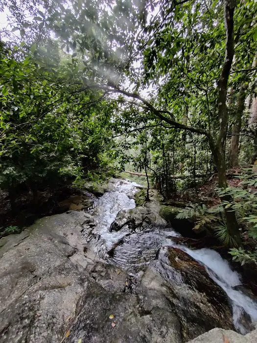Taman Eko Rimba Kanching by Tourism Selangor Picture 7