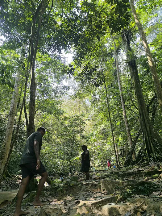 Taman Eko Rimba Kanching by Tourism Selangor Picture 5