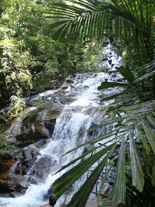 Taman Eko Rimba Kanching by Tourism Selangor Picture 1