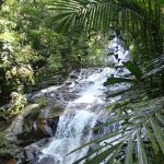 Taman Eko Rimba Kanching by Tourism Selangor