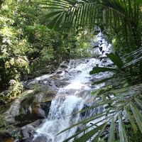 Taman Eko Rimba Kanching by Tourism Selangor ico