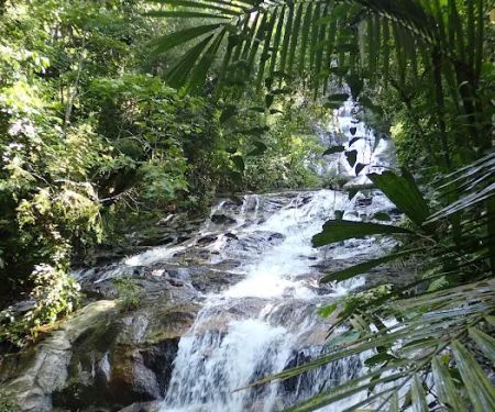 Taman Eko Rimba Kanching by Tourism Selangor
