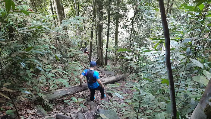 Taman Eko Rimba Kanching Trailhead Picture 8