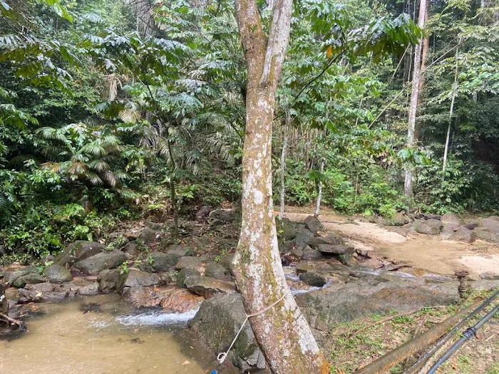 Campsite - Resort Taman Eko Rimba Komanwel Picture 5