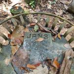 Falls Commonwealth Rawang