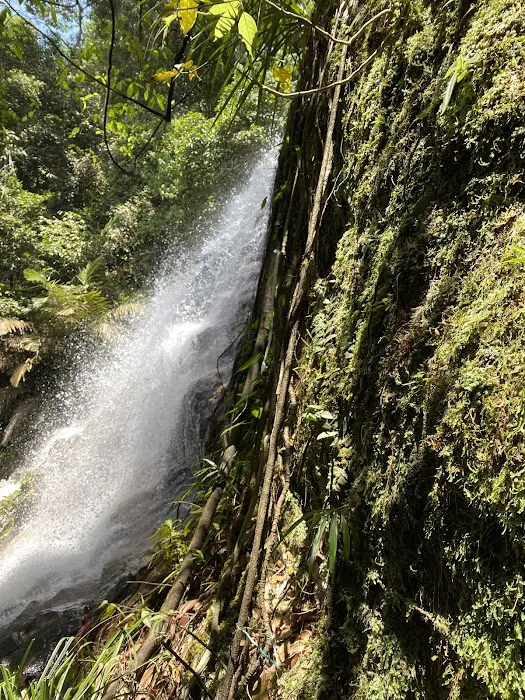 Kanching Waterfall Top Picture 5