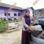 QueEN LySa Gardens