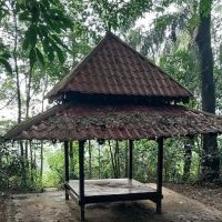 Peak of Taman rakyat ico