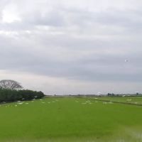 RUMAH BIRU TEPI BENDANG ico