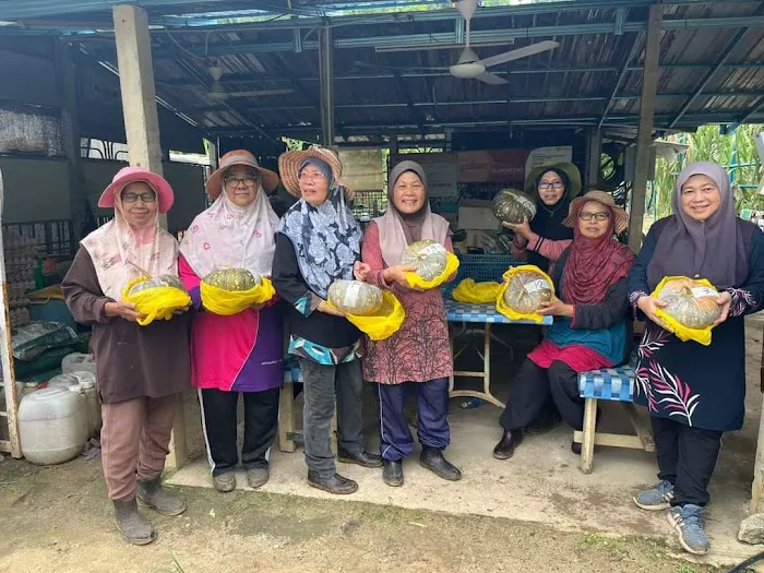 Kebun Komuniti KRT Sri Sedeli Picture 8