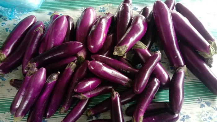 Kebun Komuniti KRT Sri Sedeli Picture 1
