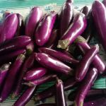 Kebun Komuniti KRT Sri Sedeli