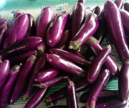 Kebun Komuniti KRT Sri Sedeli