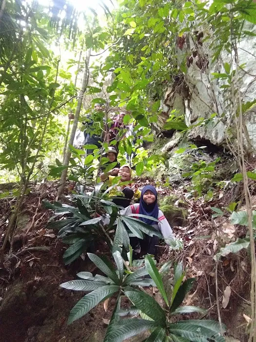 Bukit Tunggal Picture 5