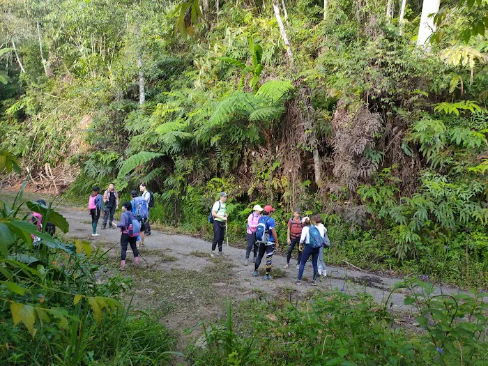 Gunung Bunga Buah Picture 4