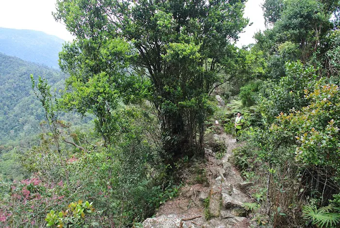 Gunung Bunga Buah Picture 10