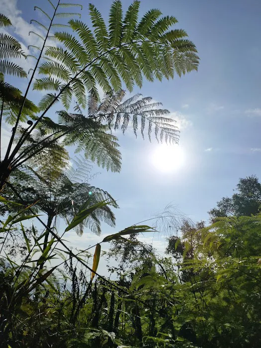Gunung Bunga Buah Picture 7