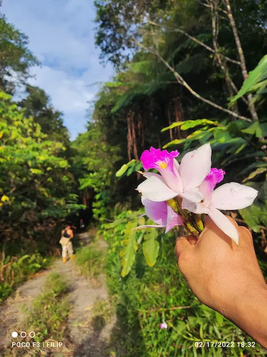 Gunung Bunga Buah Picture 6