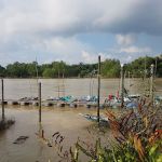 Muslim Cemetery Durian Sebatang