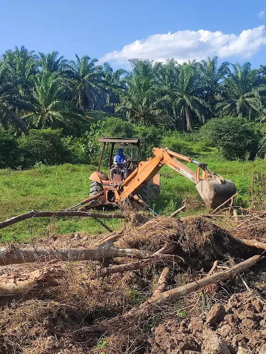 Ladang anok beranok mail timoh Picture 2