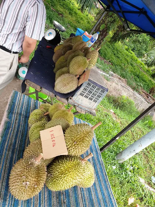 Cendol Santan Sawit Ross Picture 7