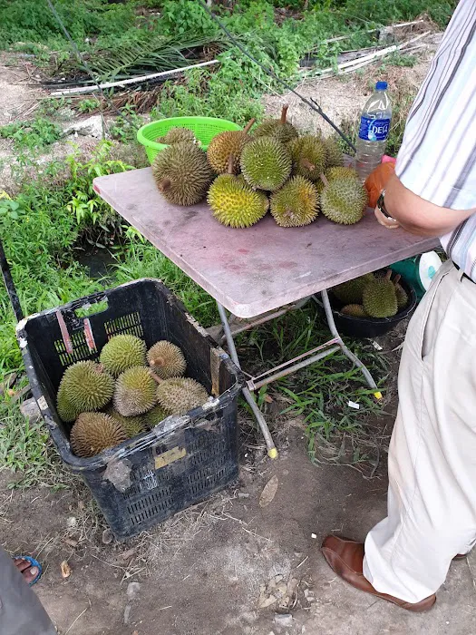 Cendol Santan Sawit Ross Picture 6