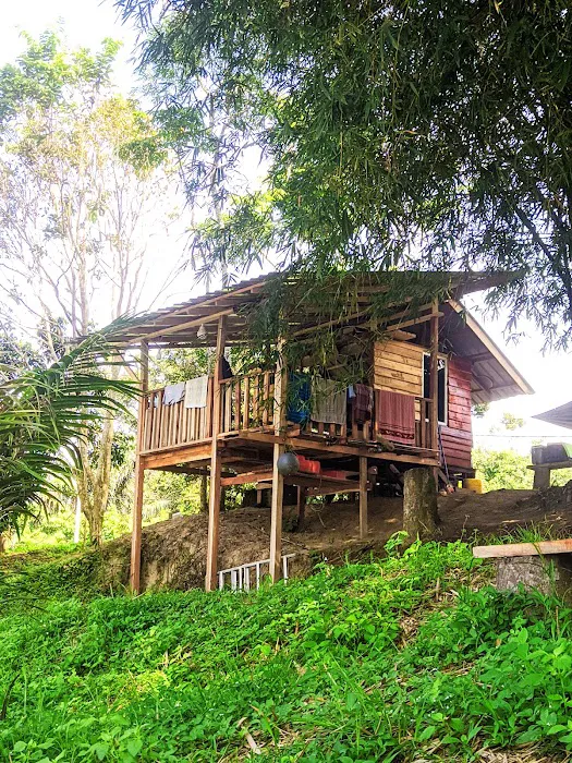 Homestay & Campsite Sekoh,Kuala Krau Picture 3