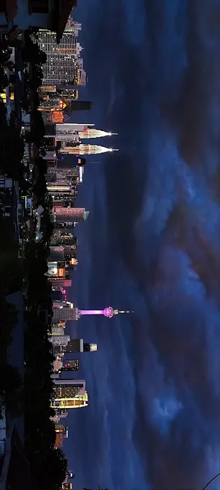 Bukit Tunku Night View Picture 2