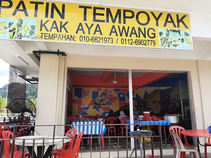 Patin Tempoyak Kak Awang Aya Picture 9