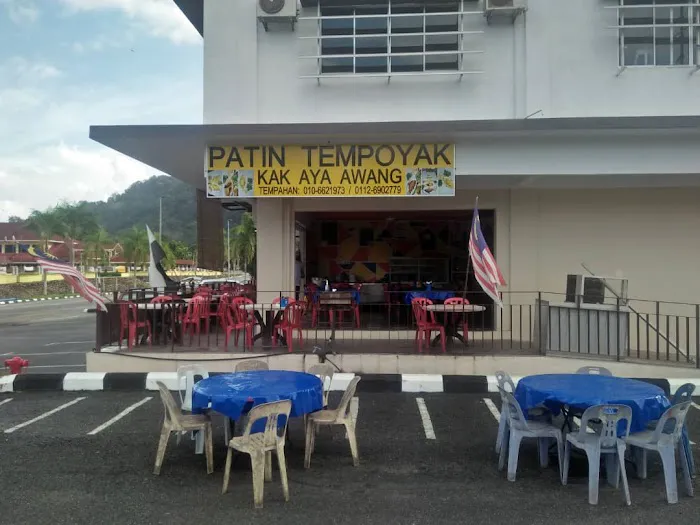 Patin Tempoyak Kak Awang Aya Picture 1