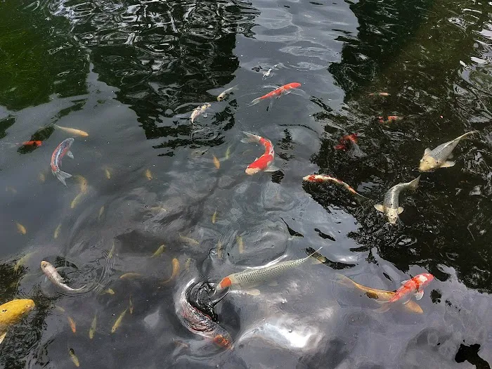 Sentul Park Picture 9