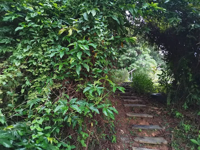 Kebun Komuniti hartamas Picture 3