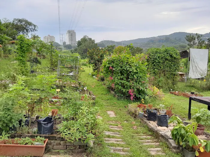 Kebun Komuniti hartamas Picture 1