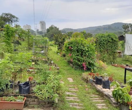 Kebun Komuniti hartamas