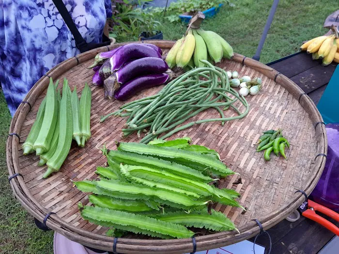 Kebun Komuniti hartamas Picture 4
