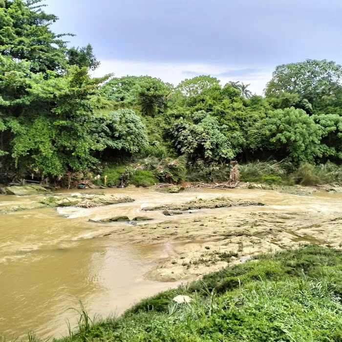 Denai Sungai Kebangsaan @ Sungai Langat Picture 7