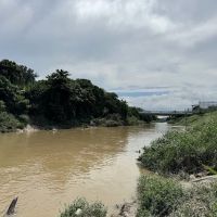 Denai Sungai Kebangsaan @ Sungai Langat ico