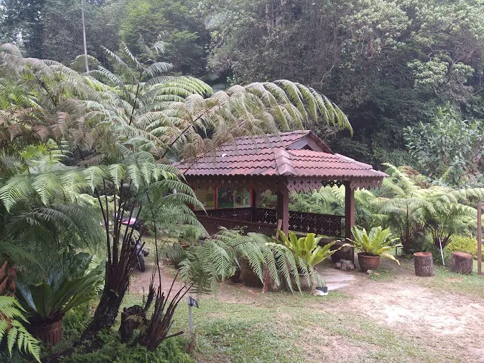 Taman Botani Bangi UKM Picture 6