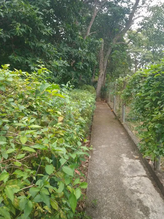 Taman Botani Bangi UKM Picture 9