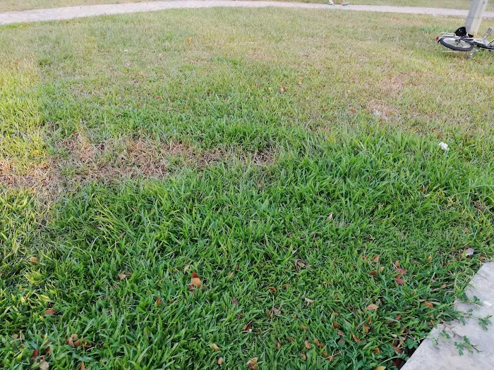 Padang Bola Garden Homes Picture 6