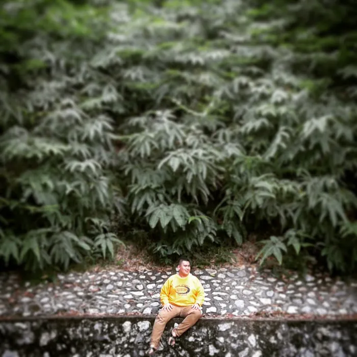 Padang Bola Garden Homes Picture 7