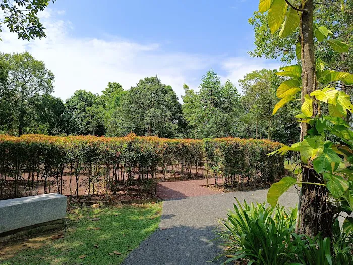 BSC Central Park Picture 4