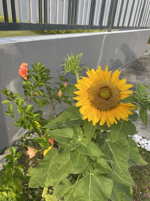 Hemingway Residences Garden Picture 2