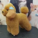 My Pets Emporium