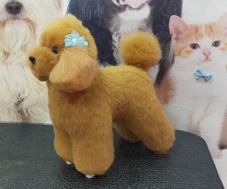 My Pets Emporium