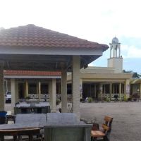 Sultan Ahmad Mosque (Town Mosque) ico