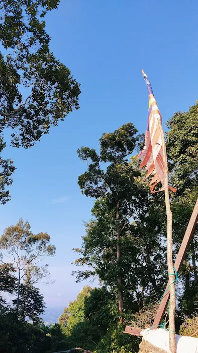 Bukit Gunong Hiking Track Picture 2