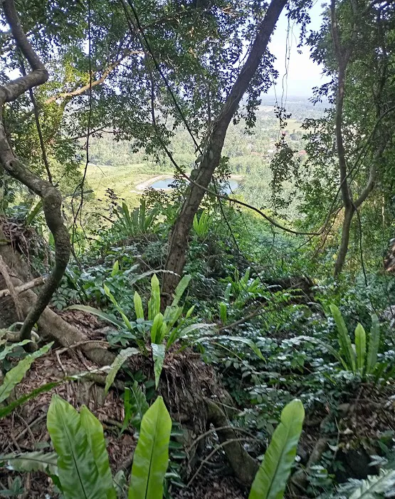 Bukit Gunong Hiking Track Picture 6