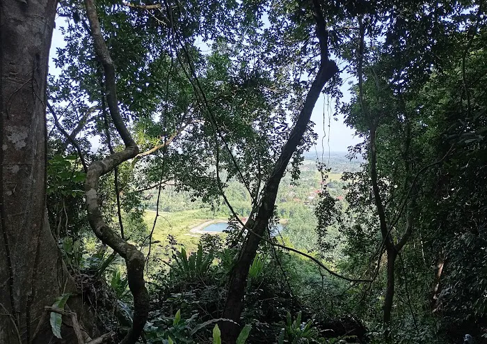 Bukit Gunong Hiking Track Picture 5