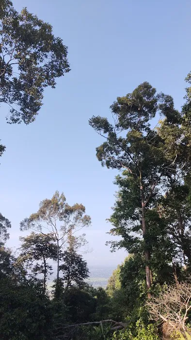 Bukit Gunong Hiking Track Picture 3